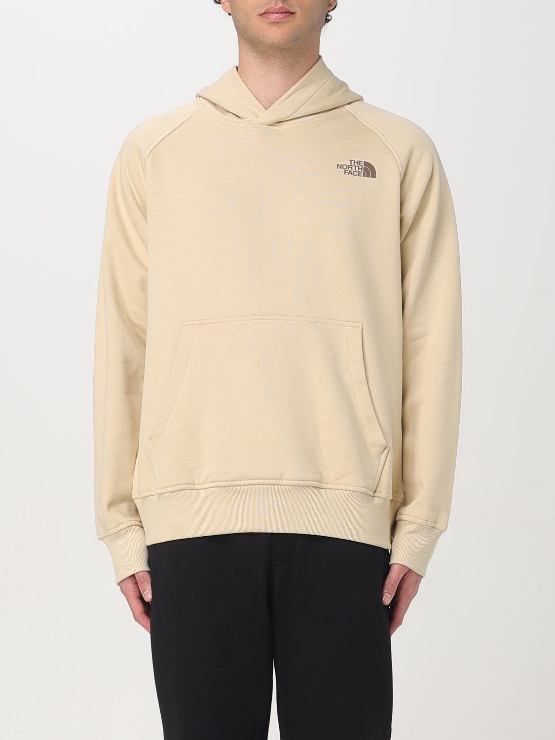 史上一番安い THE NORTH FACE: Sweatshirt men - Beige | The North Face トップス