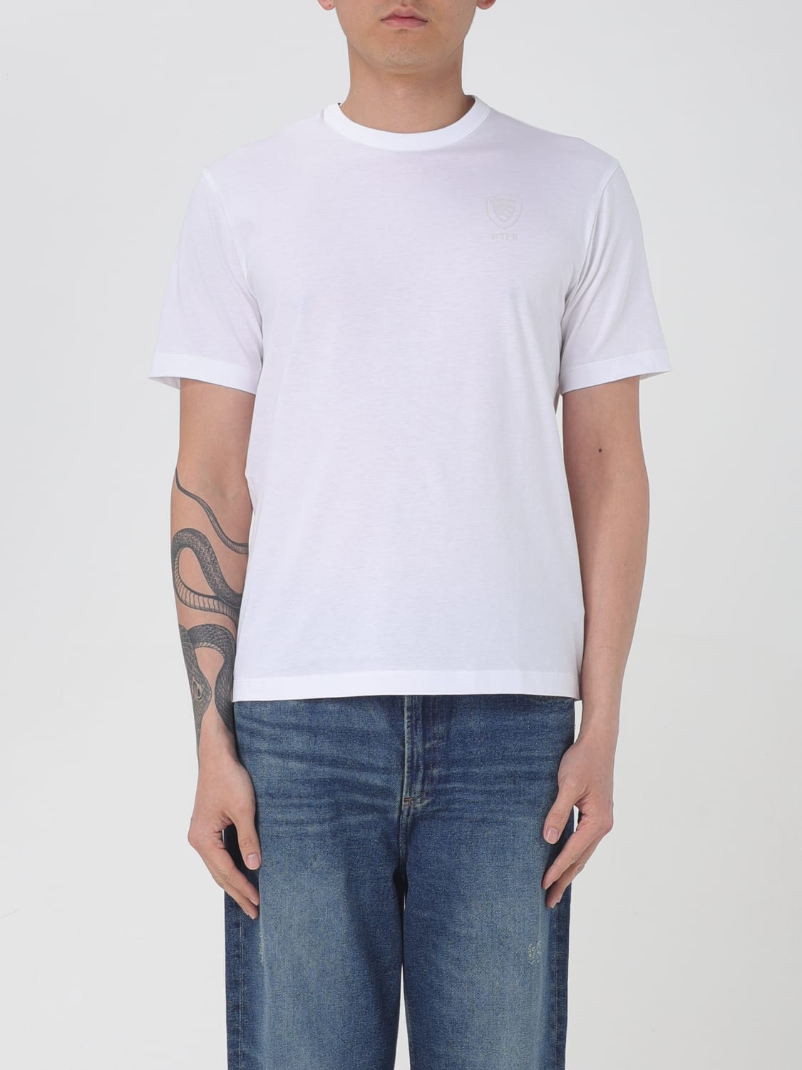 BLAUER T-SHIRT: T-shirt homme Blauer, Blanc - Img 1