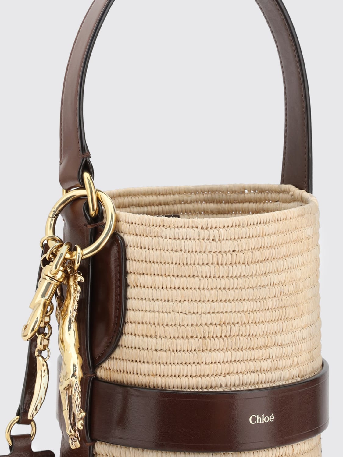 ショルダーバッグ・ポシェット CHLOE Women Shoulder Bags CHC22AS660I3125M BROWN Chloé The 99 Shoulder Bag In Grained Leather in Clay brown