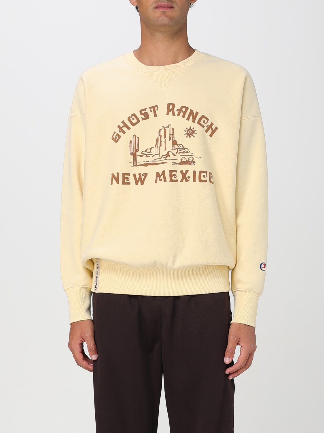 CHAMPION SWEATSHIRT: Sweater men Champion, Multicolor - Img 1