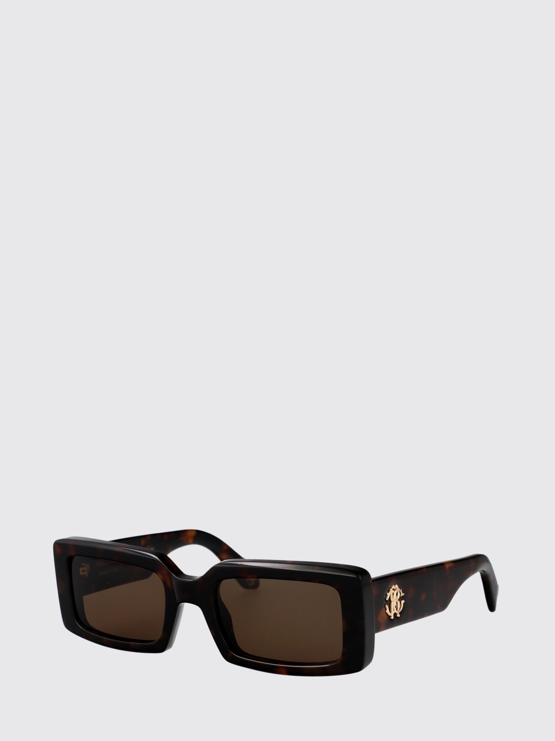 ROBERTO CAVALLI SUNGLASSES: Sunglasses men Roberto Cavalli, Brown - Img 1