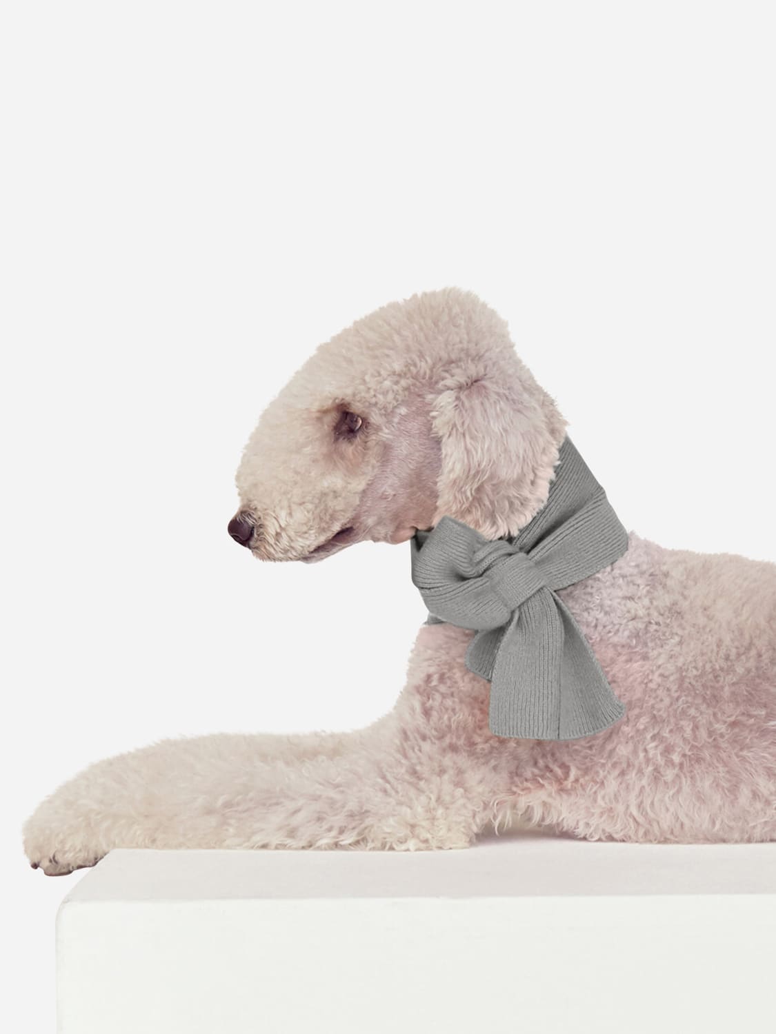 BOBBIN & TRICOT ACCESSORI PER ANIMALI: Sciarpa in cashmere per animali Bobbin & Tricot, Grigio - Img 3