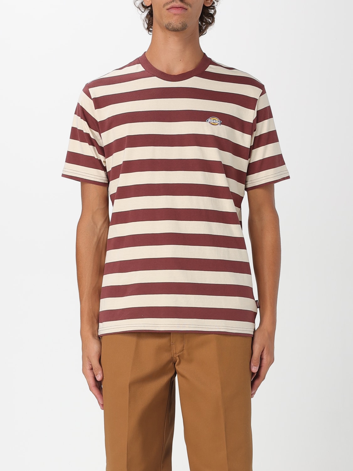 DICKIES T-SHIRT: T-shirt men Dickies, Brown - Img 1