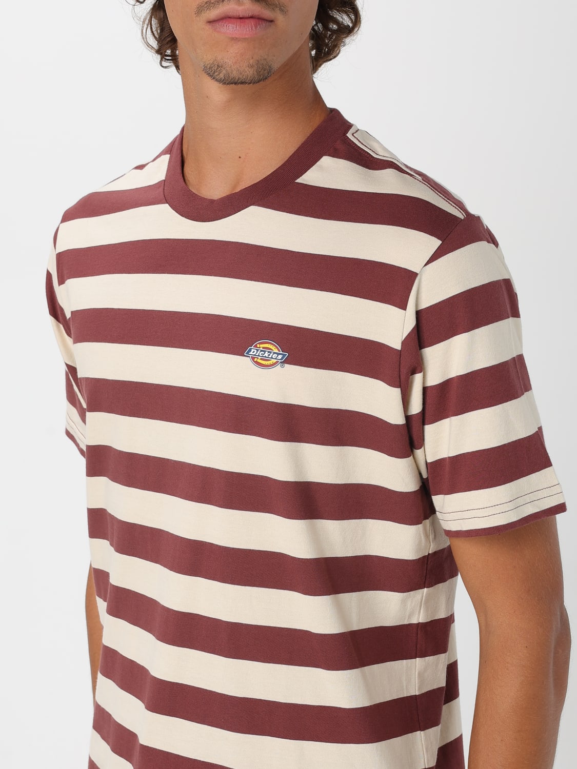 DICKIES T-SHIRT: T-shirt men Dickies, Brown - Img 4