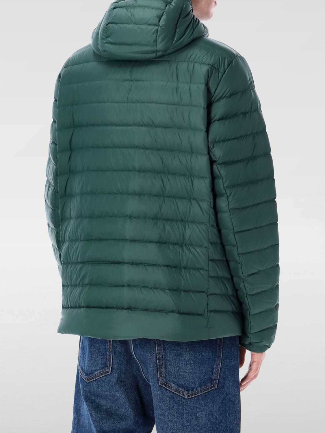 PATAGONIA JACKET: Jacket men Patagonia, Green - Img 2