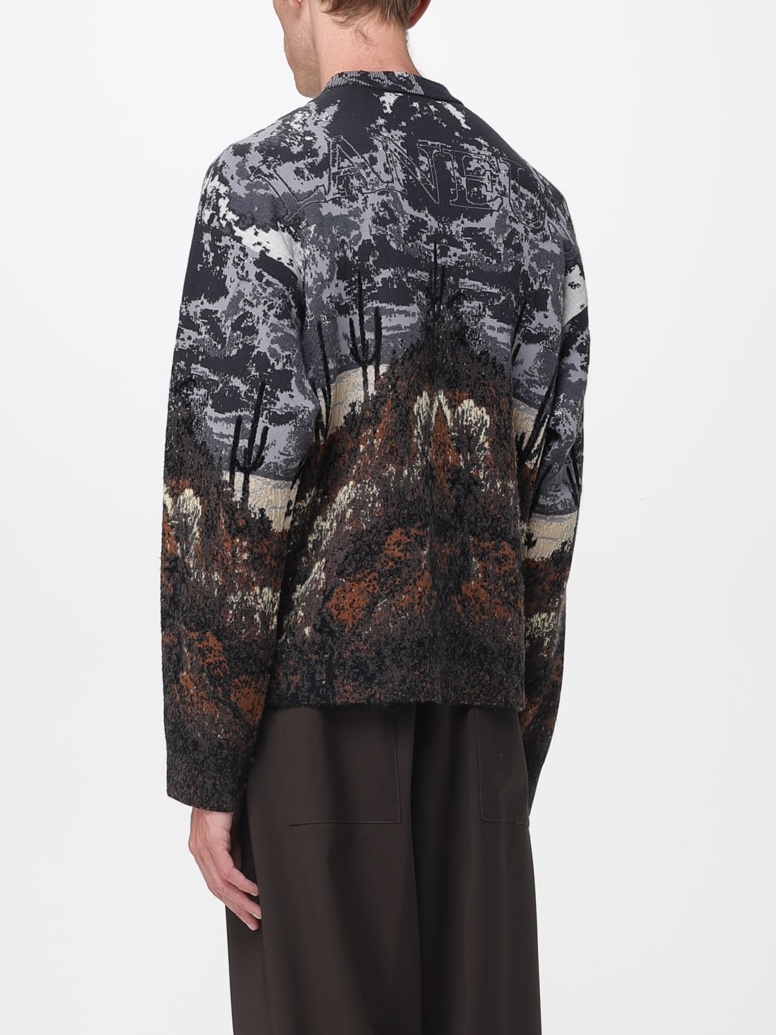 LANEUS PULLOVER: Pullover herren Laneus, Bunt - Img 3