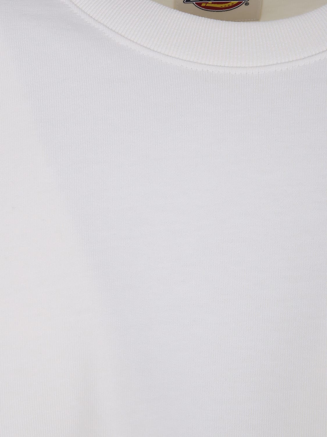 DICKIES T-SHIRT: T-shirt men Dickies, White - Img 3
