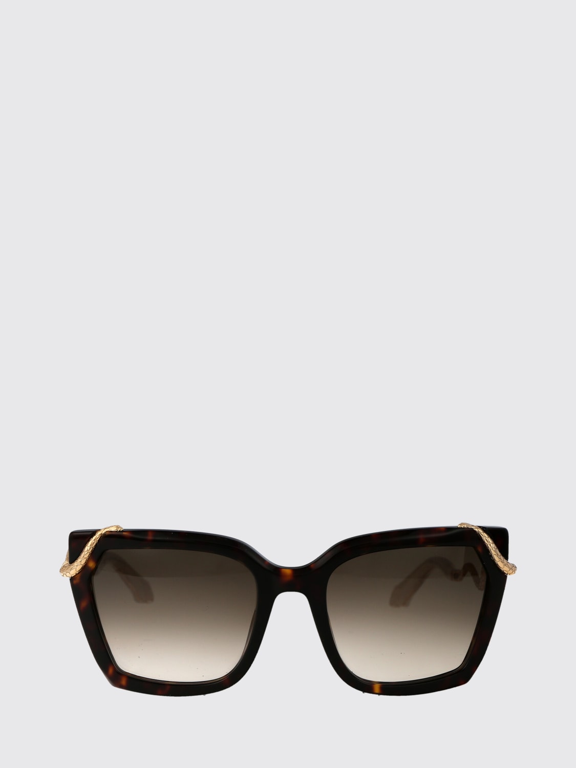 ROBERTO CAVALLI SUNGLASSES: Sunglasses woman Roberto Cavalli, Brown - Img 1
