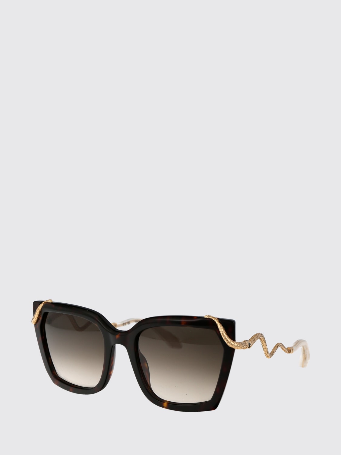 ROBERTO CAVALLI SUNGLASSES: Sunglasses woman Roberto Cavalli, Brown - Img 2