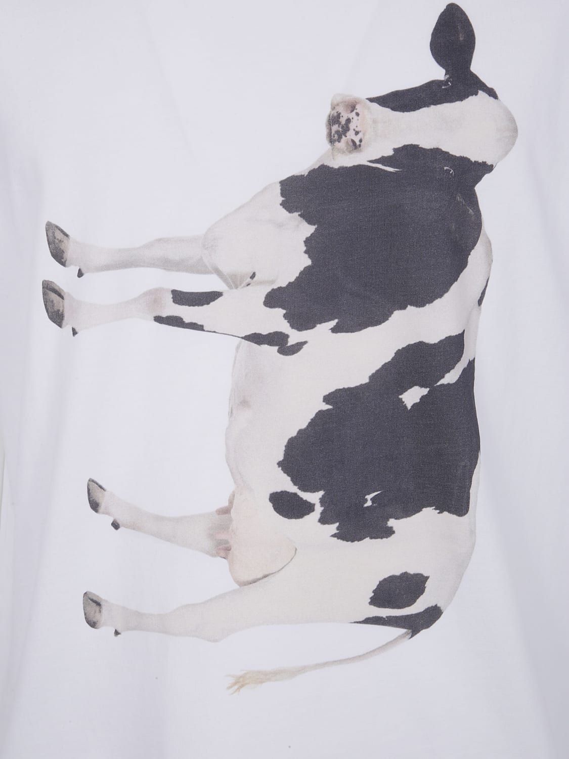 BARBOUR T-SHIRT: T-shirt men Barbour, White - Img 3