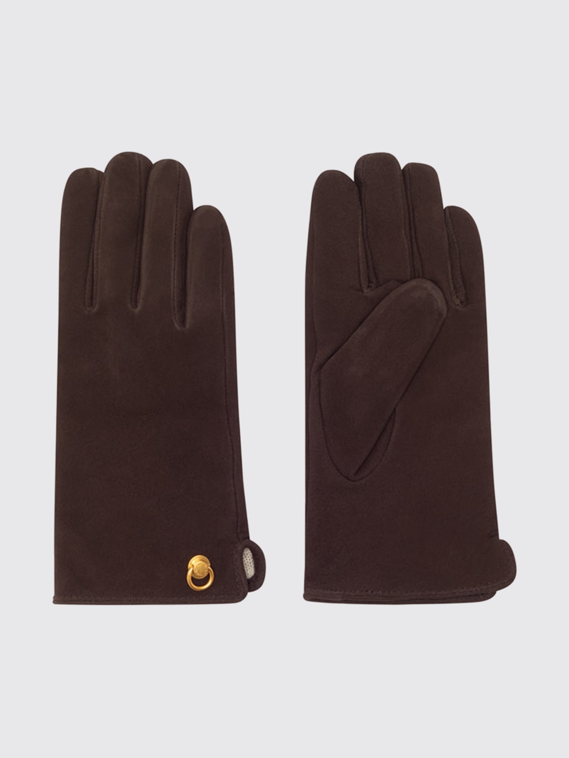 GIANNI CHIARINI GUANTES: Guantes mujer Gianni Chiarini Club Marcella, Café - Img 1