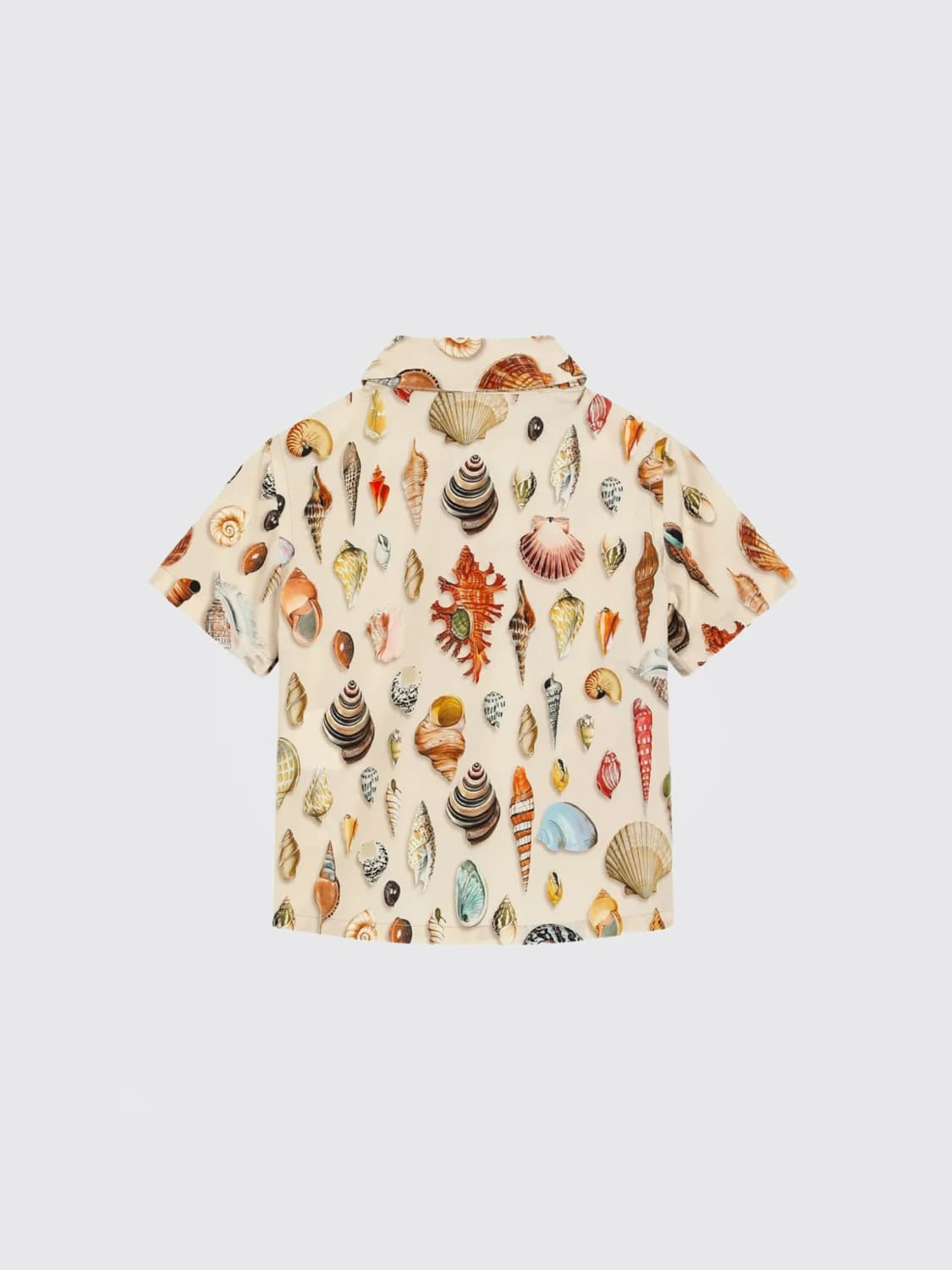 DOLCE & GABBANA SHIRT: Sweater kids Dolce & Gabbana, Multicolor - Img 2