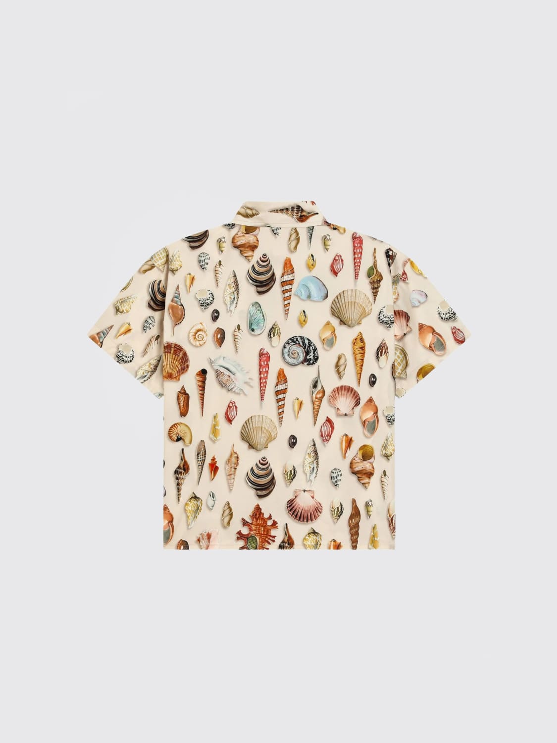 DOLCE & GABBANA CAMISA: Jersey niños Dolce & Gabbana, Fantasía - Img 2