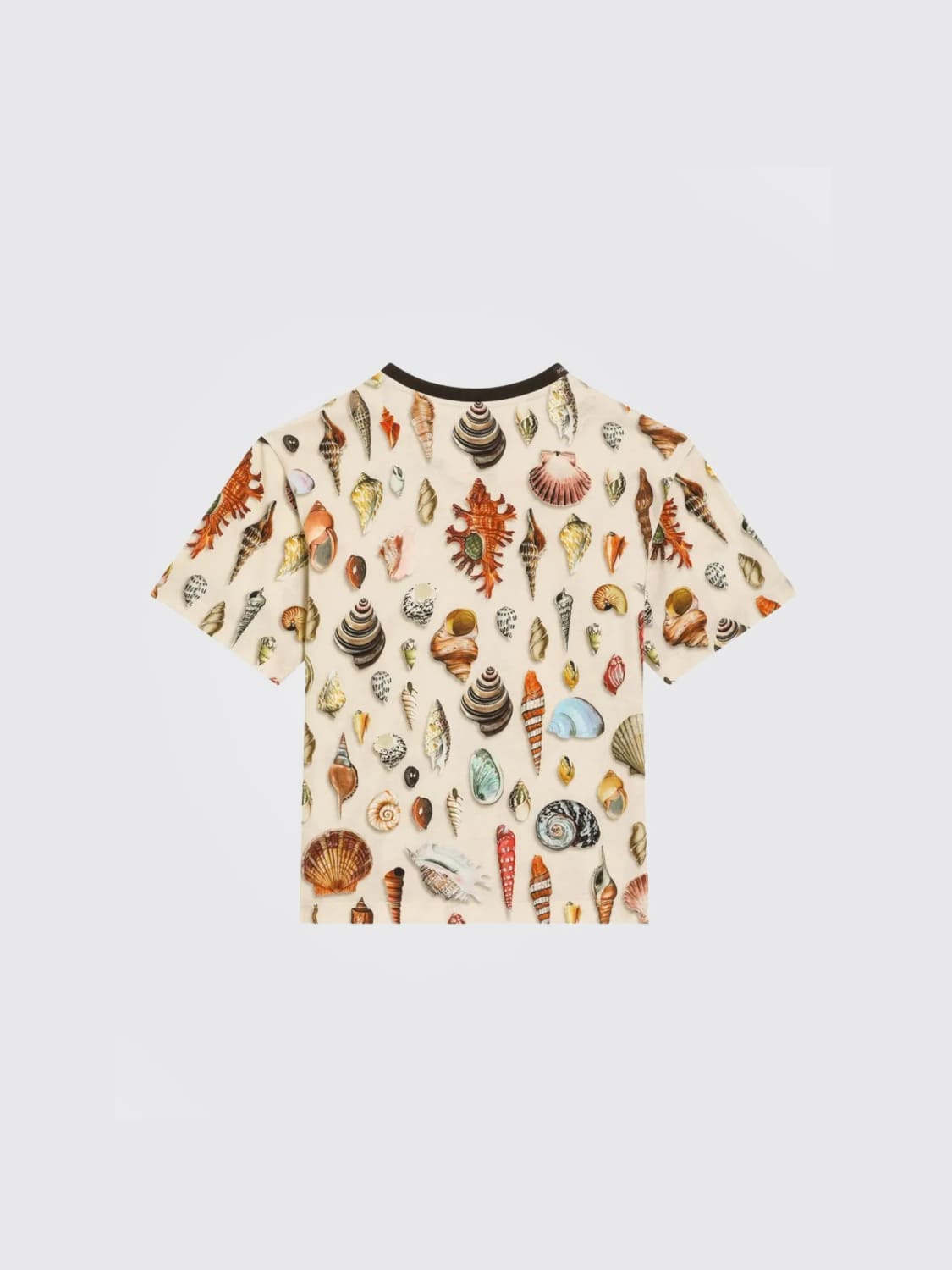 DOLCE & GABBANA T-SHIRT: T-shirt kids Dolce & Gabbana, Brown - Img 2