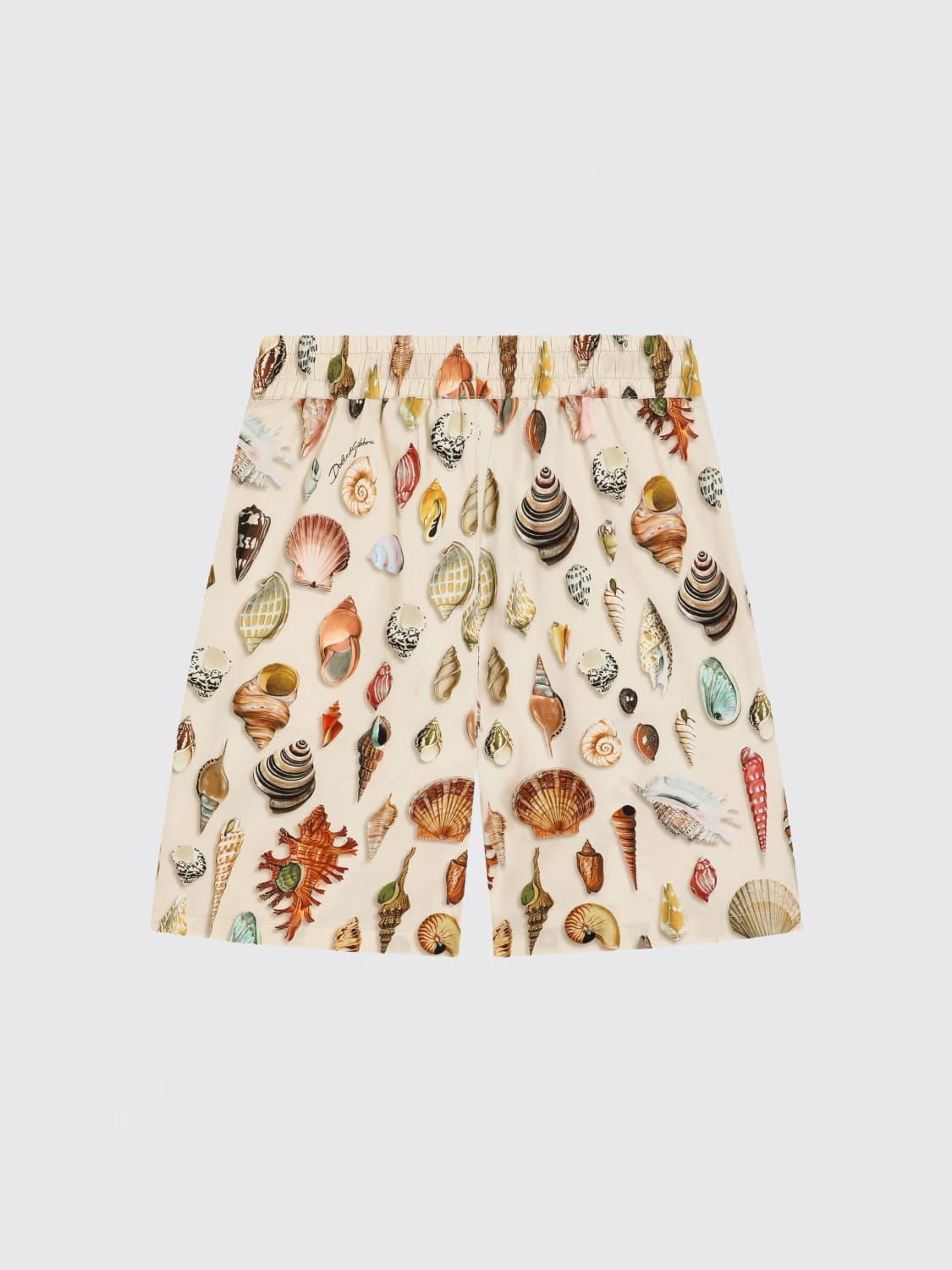 DOLCE & GABBANA SHORTS: Pants kids Dolce & Gabbana, Brown - Img 2